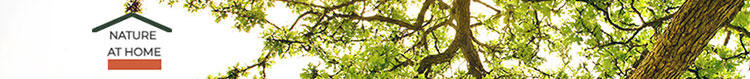 
 nature at home